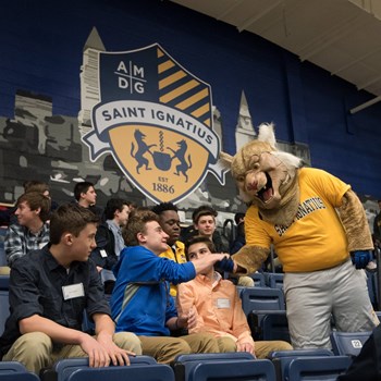 Wildcat For A Day
