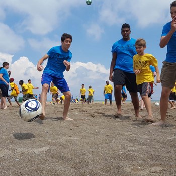 Arrupe Summer Program